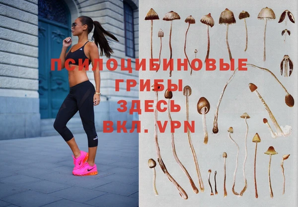 шишки Алзамай