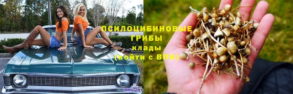 шишки Алзамай