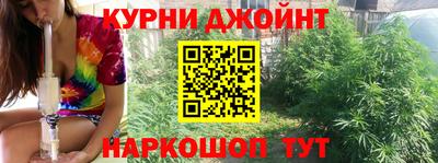 ешки Кингисепп