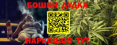 ешки Кингисепп