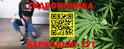 прущая мука Кимры