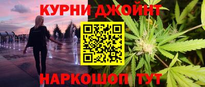 ешки Кингисепп