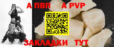 ешки Кингисепп