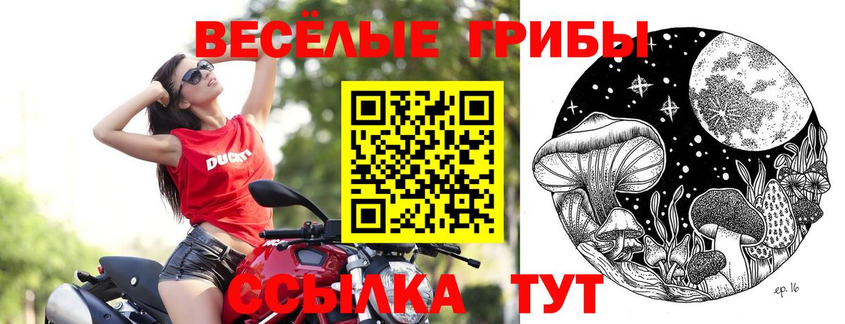 Галлюциногенные грибы ЛСД  Галлюциногенные грибы GOLDEN TEACHER  где купить наркоту  Кудрово  Вход с VPN 
